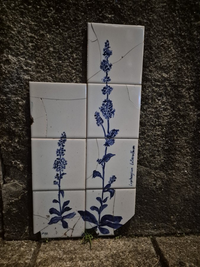 Azulejo partilhado pela comunidade